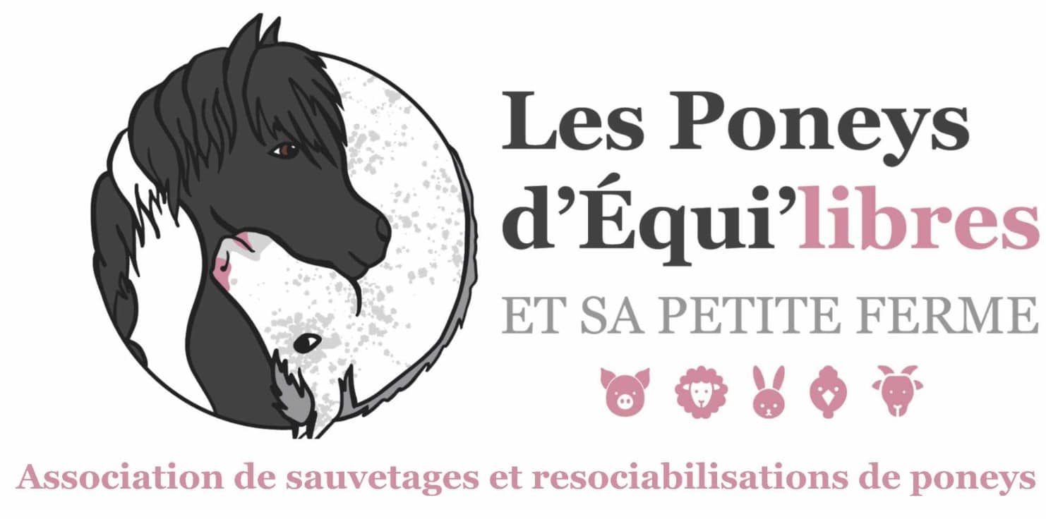 Poneys d'équilibre